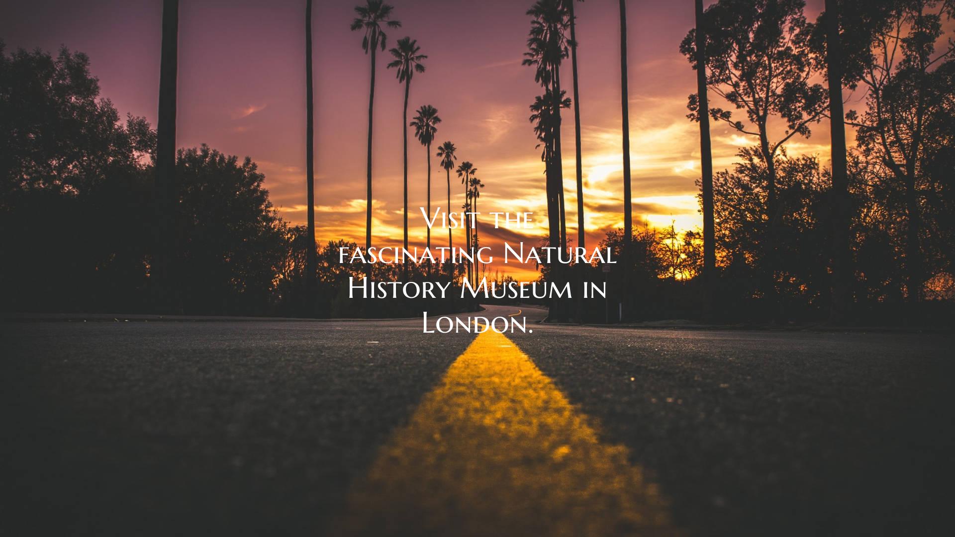 Visit the fascinating Natural History Museum in Lo...